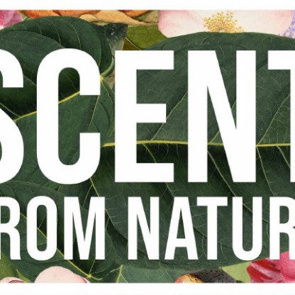 Highlight image for Scent from Nature: Beauty’s botanical origins